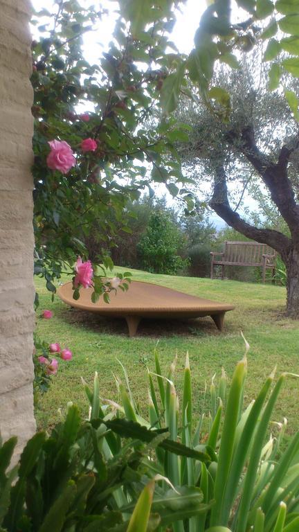 Bed and Breakfast Poggio Dei Prugnoli à Tavoleto Extérieur photo