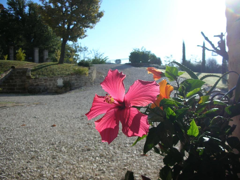 Bed and Breakfast Poggio Dei Prugnoli à Tavoleto Extérieur photo